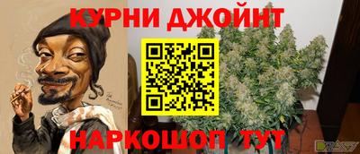 ешки Будённовск